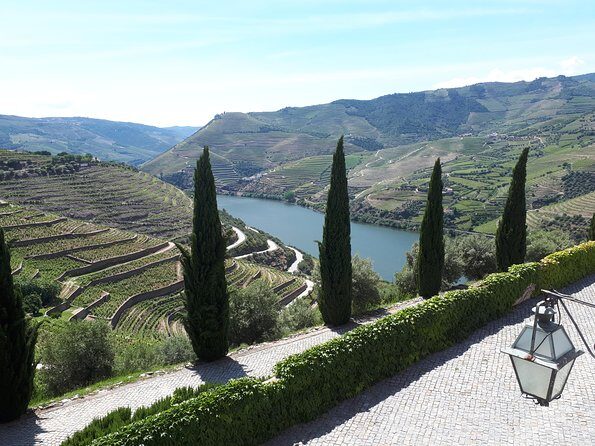 Douro Valley Tour (wine & Food) - Is This Tour Right for You?