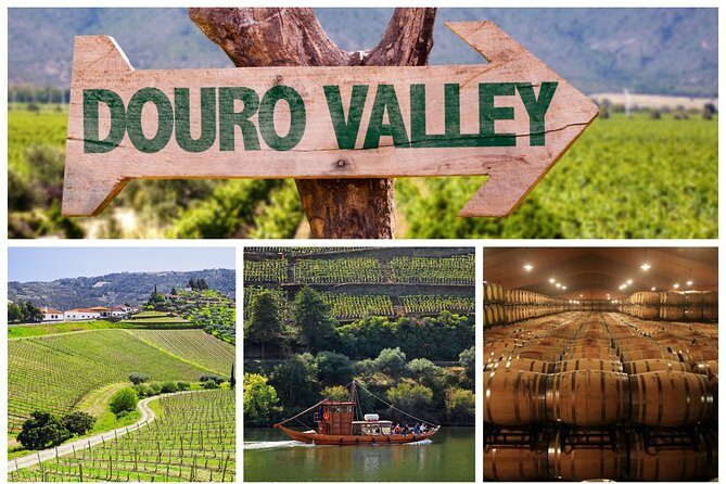 Douro Valley Tour: Wine Tasting, Cruise and Lunch from Porto - Key Points