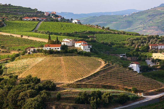 Douro Valley Tour: Wine Tasting, Cruise and Lunch from Porto - FAQ: Questions Travelers Ask
