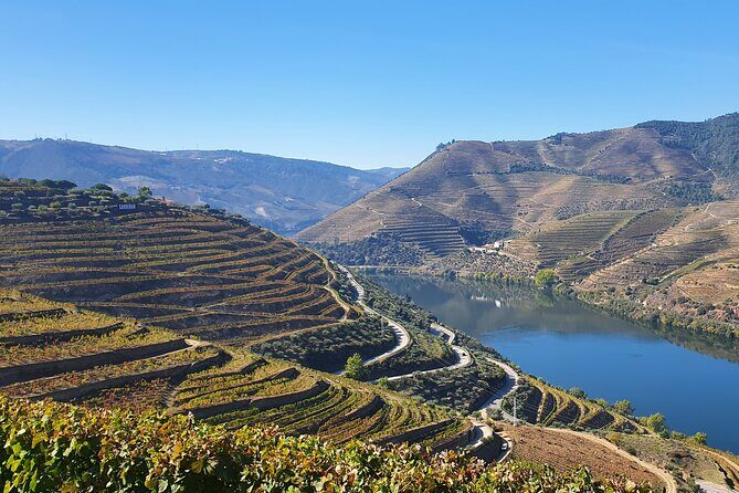 Douro Valley Tour: Wine Tasting River Cruise and Lunch from Porto - The Sum Up