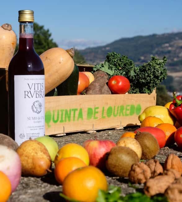 Douro Valley: Traditional Cooking Class, Farm Tour and Lunch - The Farm and Rebuilding After Wildfire
