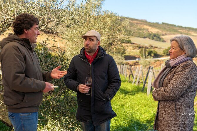 Douro Valley Unesco Heritage fantastic lunch & wine tasting - What the Reviews Say