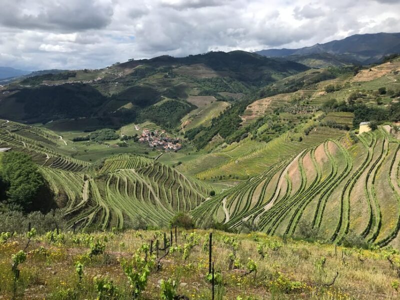 Douro Valley: water walking adventure with local lunch - The Sum Up: Who Should Consider This Tour?