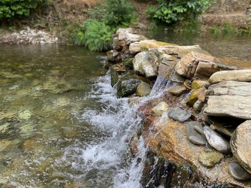 Douro Valley: water walking adventure with local lunch - FAQ