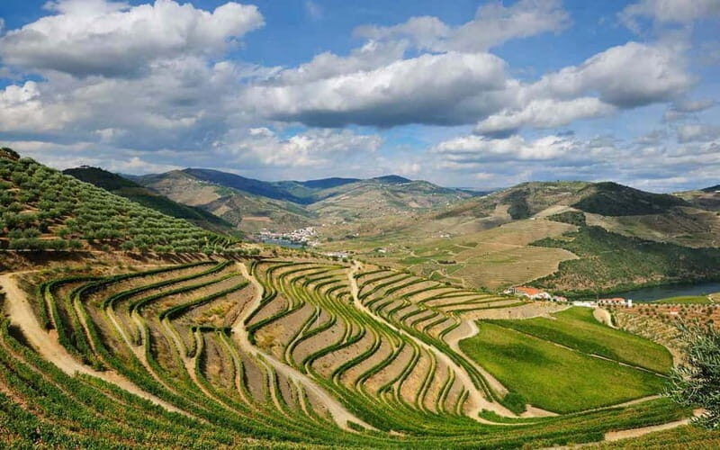 Douro Valley: Wine & Chocolate Tour in the Wine Region - Final Thoughts: Is This Tour Right for You?