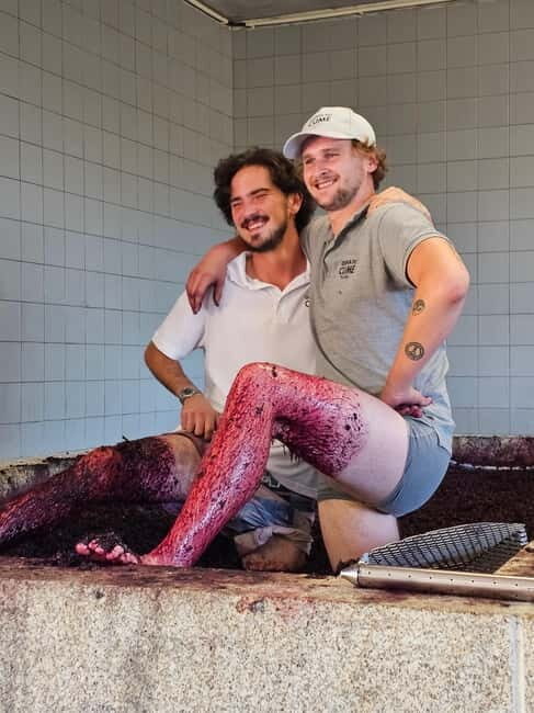 Douro Valley: Wine, History, and Ferdinand Magellan Tour - A Closer Look at the Douro Valley: Wine, Villages, and History