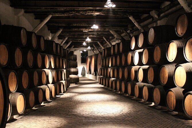 Douro Valley Wine Tour: Local Food & Wine Experience Small Group - Arrival Back in Porto