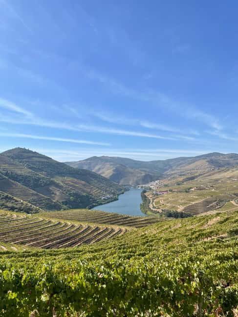 Douro Valley Wine Tour - Exploring the Douro Valley Wine Tour in Depth