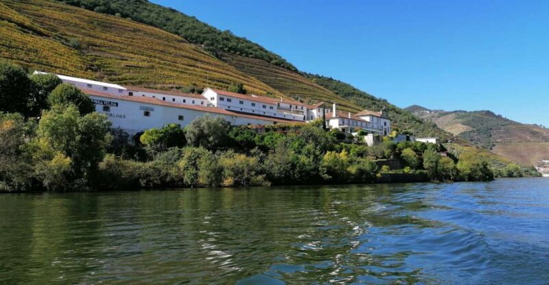 Douro Valley Winery Day Trip with River Cruise - An Honest Look at the Douro Valley Winery Day Trip