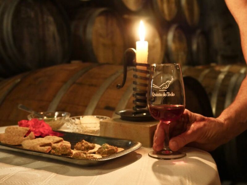 Douro Valley: Winery Tour at Quinta do Tedo and Tastings - Who Should Consider This Tour?