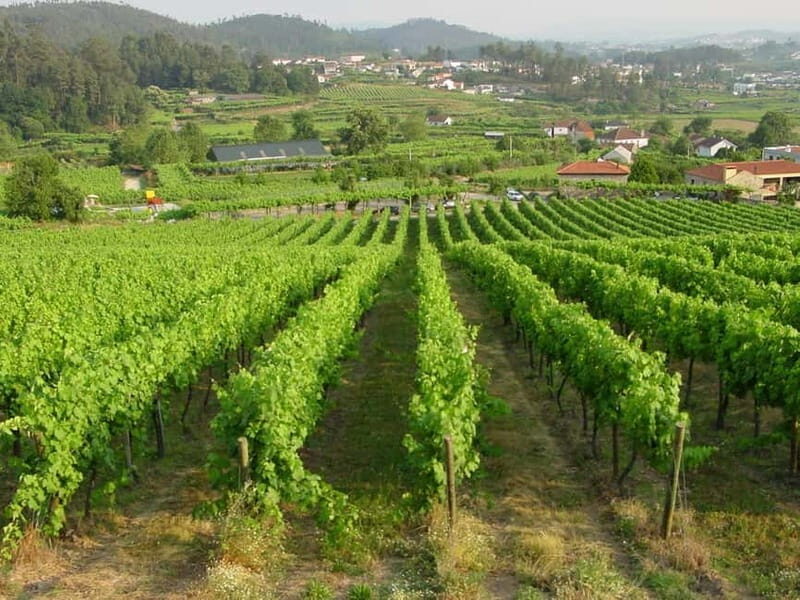 Douro & Vinho Verde Private Tour - Key Points