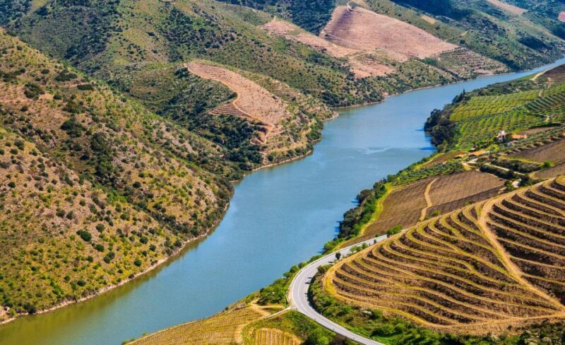 Douro: Wine Tasting and river cruise Experience - Exploring the Douro: An Honest Look at the Wine Tasting and River Cruise Experience