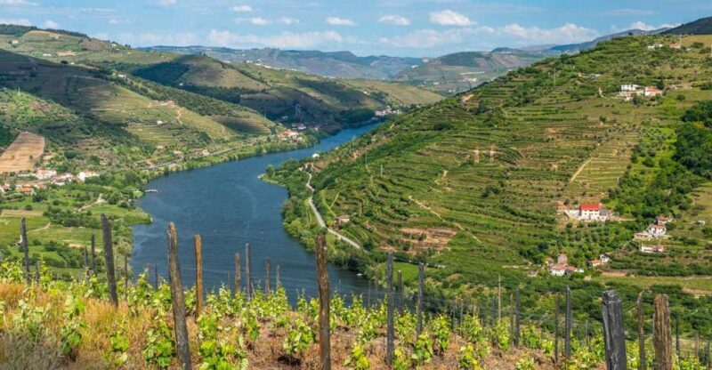 Douro: Wine Tasting and river cruise Experience - Who Will Love This Tour?