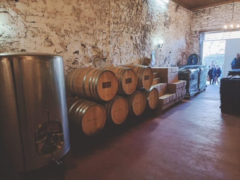 Douro: Wine Tasting and river cruise Experience - Final Thoughts