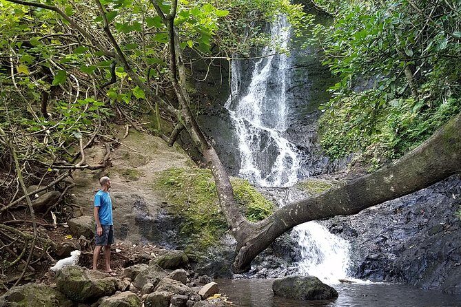 Downhill Bike and Ko'olau Waterfall Hike Tour - Exploring Oahu with a Downhill Bike and Waterfall Hike
