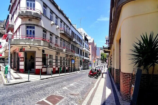 Downtown Funchal: A Self-Guided Audio Tour Through the Old City - Who Will Love This Tour?