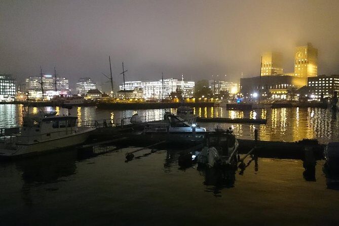 Downtown Oslo: Self-Guided Highlights and History Audio Tour - Who Should Consider This Tour?