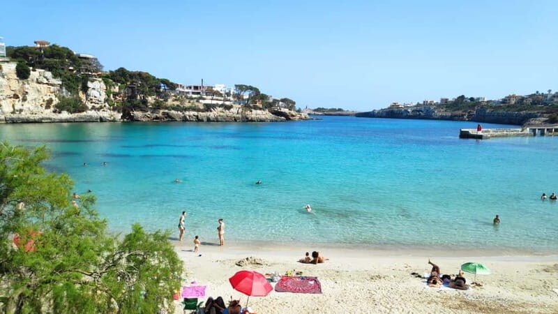 Drach Caves and Palma or Beach Retreat Full-Day Tour - Key Points