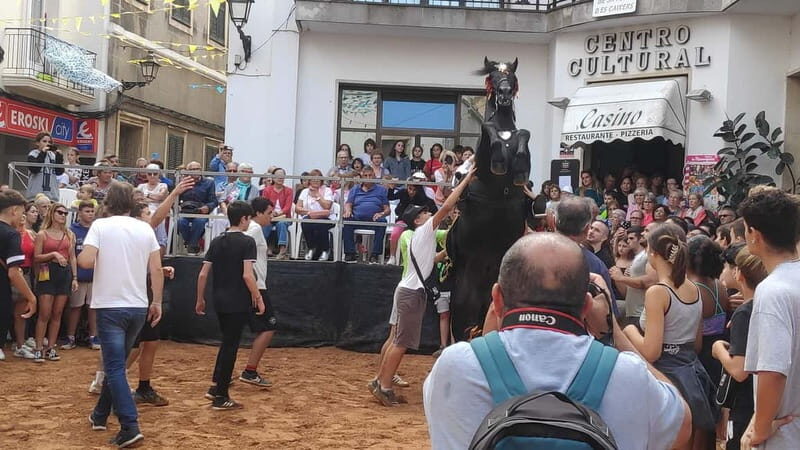 Drach Caves and Palma or Beach Retreat Full-Day Tour - Who Is This Tour Best For?