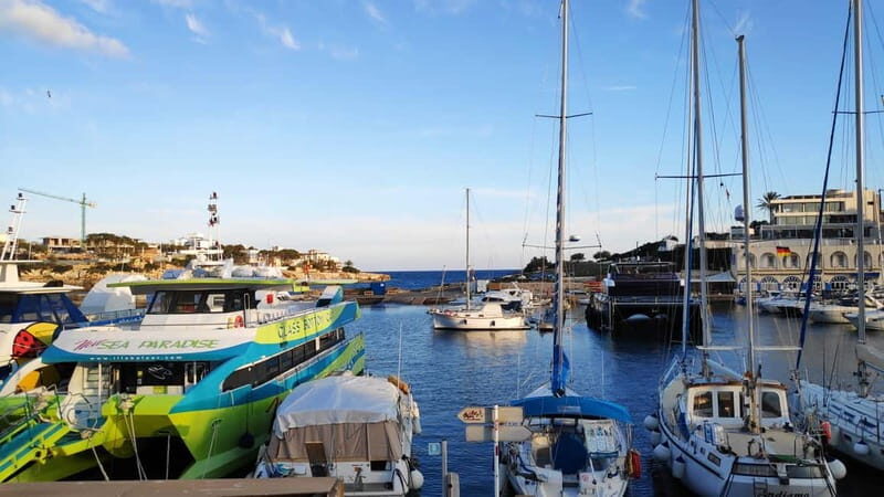 Drach Caves and Palma or Beach Retreat Full-Day Tour - Frequently Asked Questions