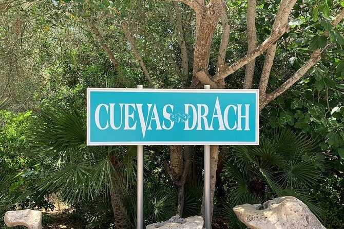Drach Caves and Pearl Shop Mallorca Half Day Tour - Real Experiences from Past Travelers