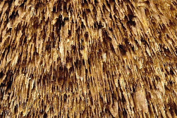 Drach Caves and Pearl Shop Mallorca Half Day Tour - Who Should Consider This Tour?