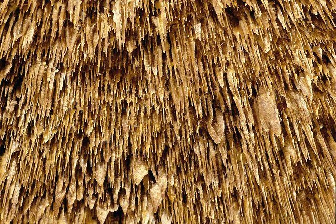 Drach Caves with Port Cristo and Pearl Shop Mallorca Full Day Tour - Final Thoughts: Is This Tour Worth It?