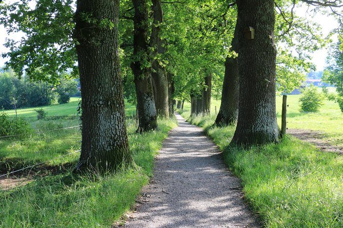 Dragon Slayer Way Beer Hike Food Experience Private Tour (departs Munich) - An Overview of the Tour