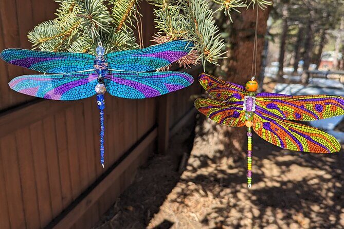 Dragonfly Suncatcher Art Kit in Estes Park - The Experience in Detail