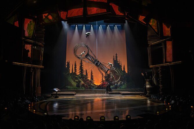 Drawn to Life presented by Cirque du Soleil and Disney - Downsides and Considerations