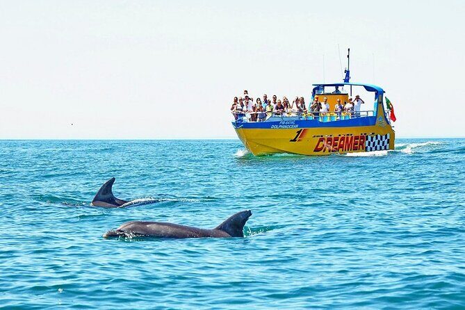 Dreamer Cave and Dolphins Boat Tour Ticket Albufeira - What the Tour Includes and How It Works