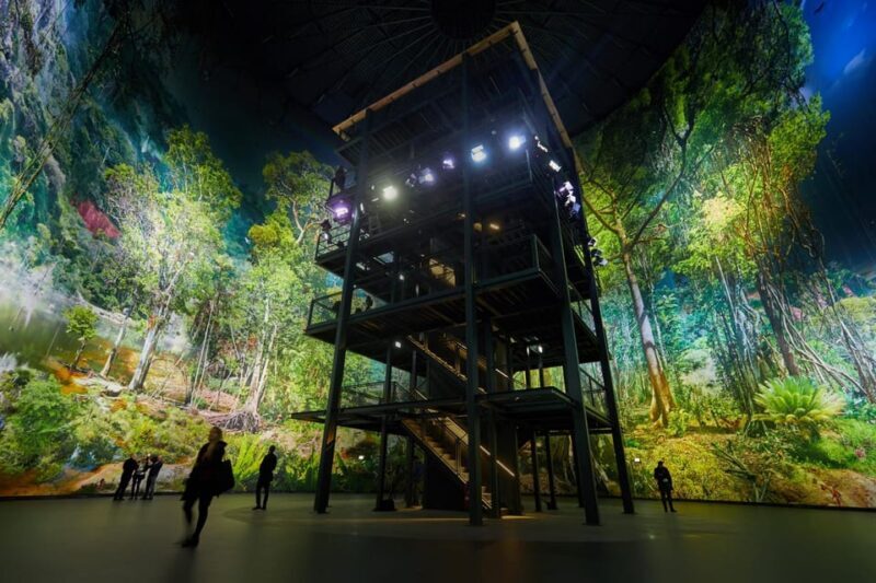 Dresden: 360° Panorama Amazonia Entry Ticket - How the Experience Comes to Life