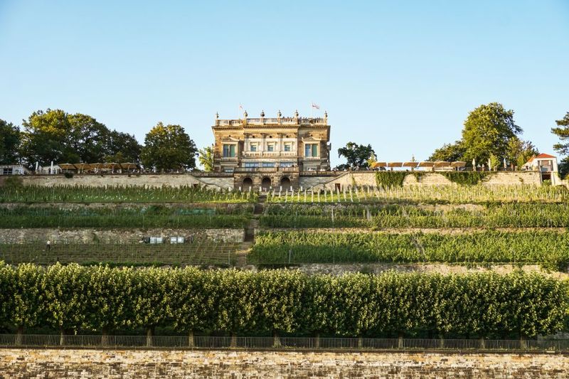 Dresden: Elbe River Cruise to Pillnitz Castle - Food and drinks: what you can expect on board