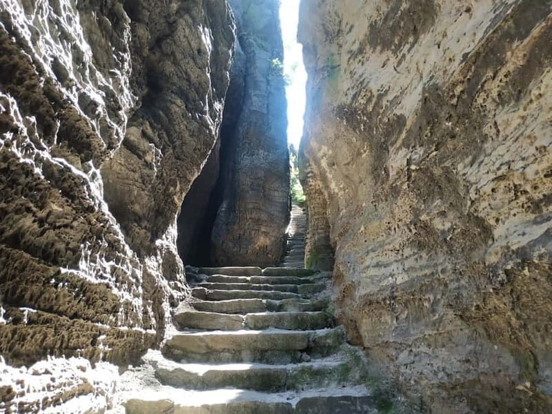 Dresden-Prague One-Way Sightseeing Journey - Who Should Consider This Tour?