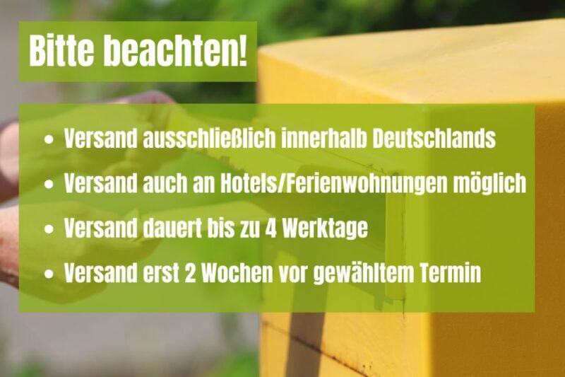 Dresden: Scavenger Hunt to Elbe River & Castles - A Closer Look at the Itinerary and Experience