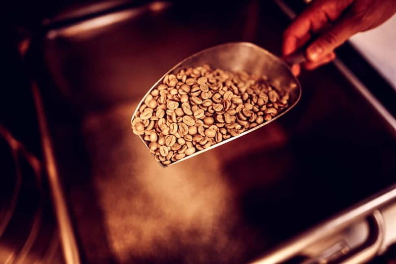 Dresden: Taste of Dresden Food Walk - Is This Tour Right for You?