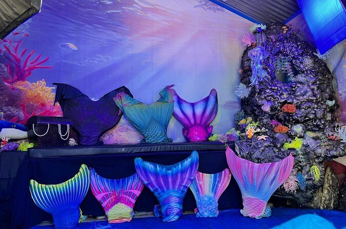Dress up experience like a Mermaid in Avalon - Who Should Consider This?