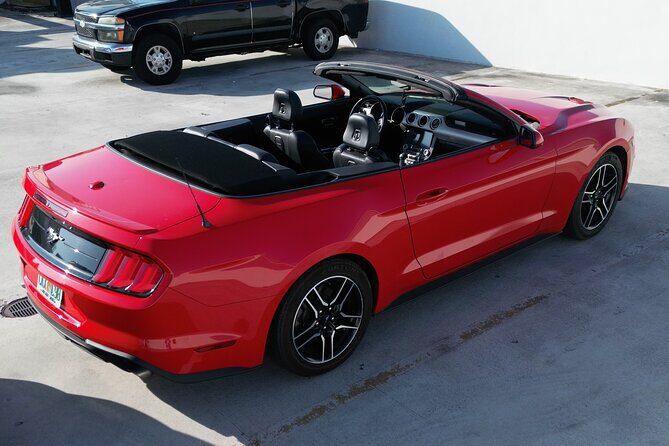 Drive a Mustang Convertible - An Honest Look at Renting a Mustang Convertible in Miami