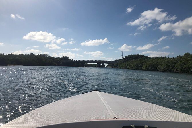 Drive the best speedboat in Cancun and feel the adrenaline. - Pricing and Value