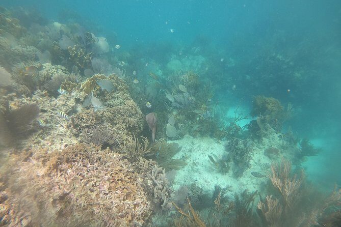 Drive the best speedboat in Cancun and feel the adrenaline. - Who Should Consider This Tour?