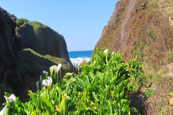 Driving the California Coast: A Self-Guided Audio Tour - Who Should Consider This Tour?