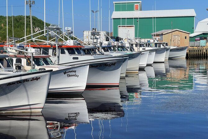 Driving Through Time: A Self-Guided Tour of Tignish to North Cape - The Practical Stuff: Price, Duration, and Access