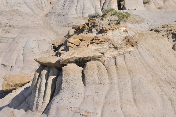 Drumheller Dinosaur Valley & Horseshoe Canyon Adventure Day Tour - Key Points