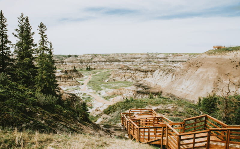 Drumheller: Dinosaurs, Canyons, & Hoodoos Day Tour - Who Is This Tour Best For?