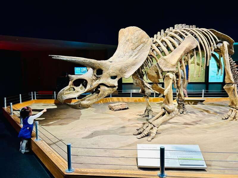 Drumheller Full-day Private Sightseeing Tour - Final Thoughts: Who Should Consider This Tour?