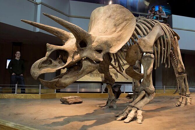 Drumheller, Royal Tyrrell Museum, Hoodoos & Coal Mine Adventure - Frequently Asked Questions