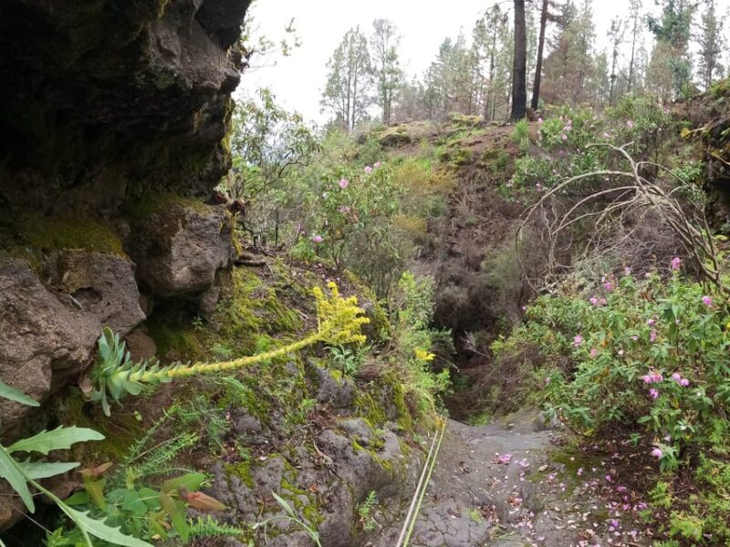 Dry canyoning Chimoche - The Value of the Tour