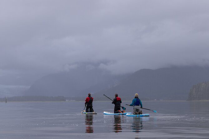 Dry-Suit Paddle board in Juneau with Mendenhall Glacier Views - Final Thoughts