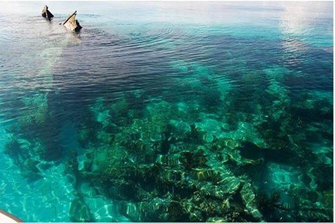 Dry Tortugas National Park Day Trip by Catamaran from Key West - Key Points