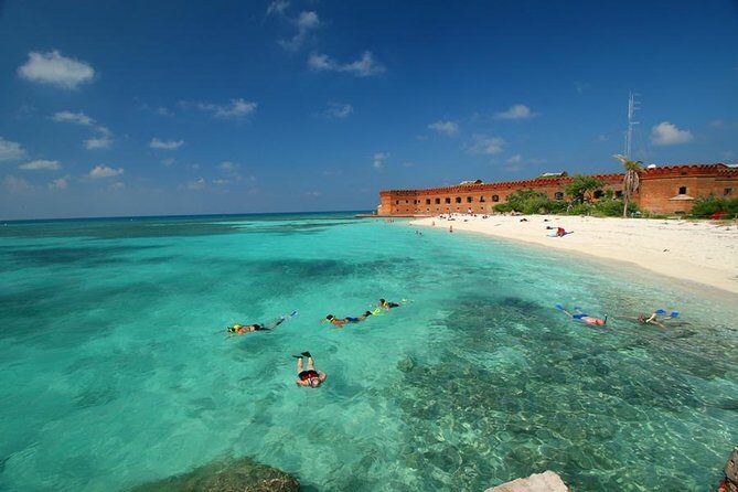 Dry Tortugas National Park Day Trip by Catamaran from Key West - What Travelers Love (and What Could Be Better)